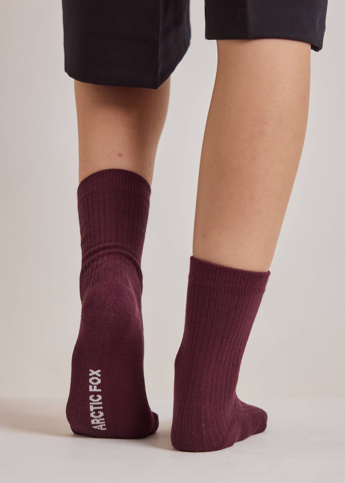 Arctic Fox The Everyday Socks in Plum