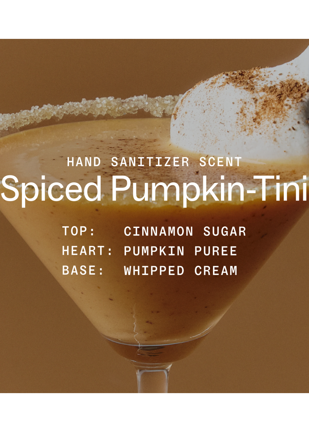 Spiced Pumpkin-Tini Power Mist Hand Sanitizer