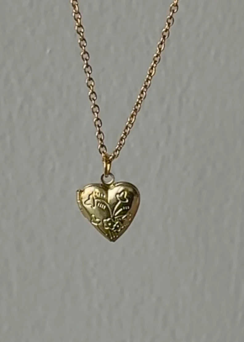 The Wild Heart Locket