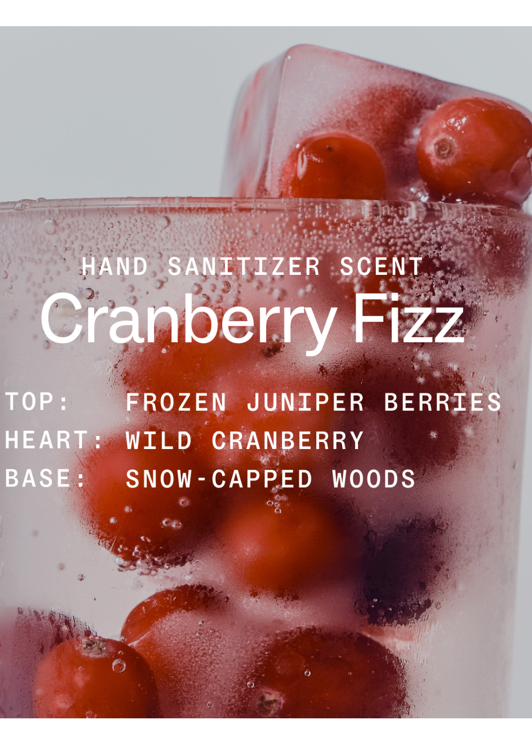 Cranberry Fizz Power Mist Hand Sanitizer